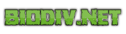 web directory